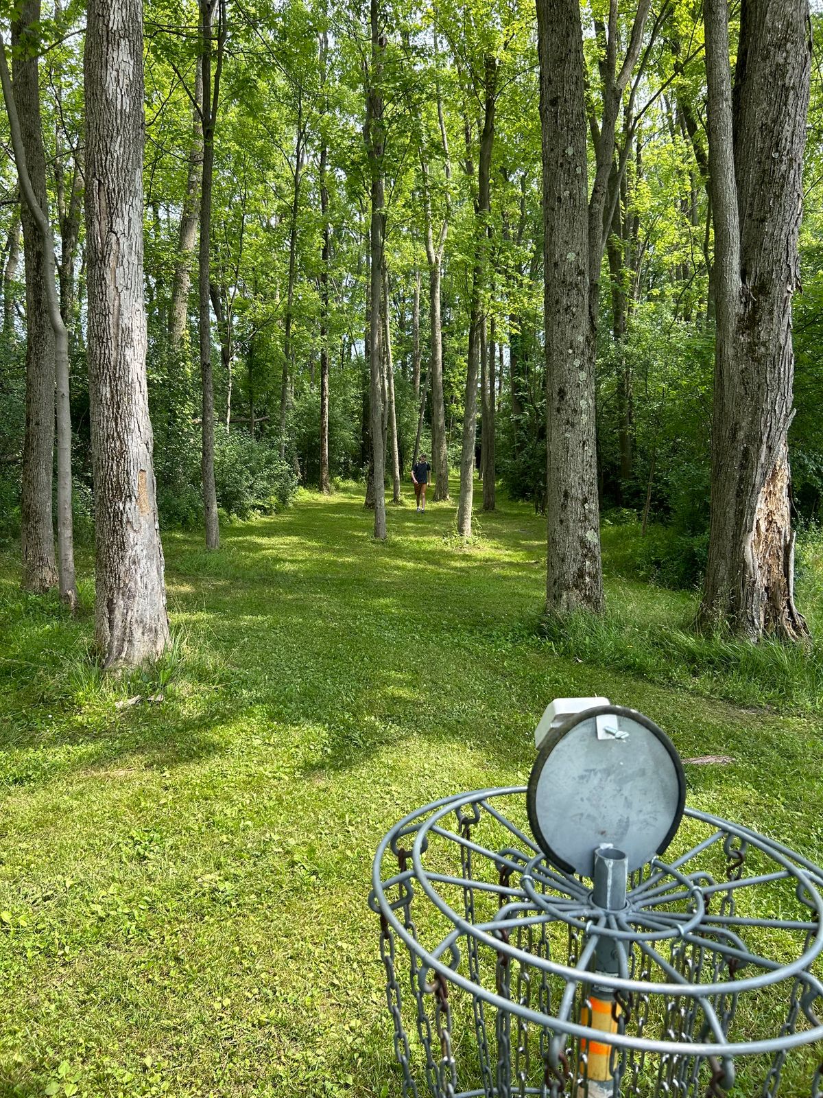Hole 11