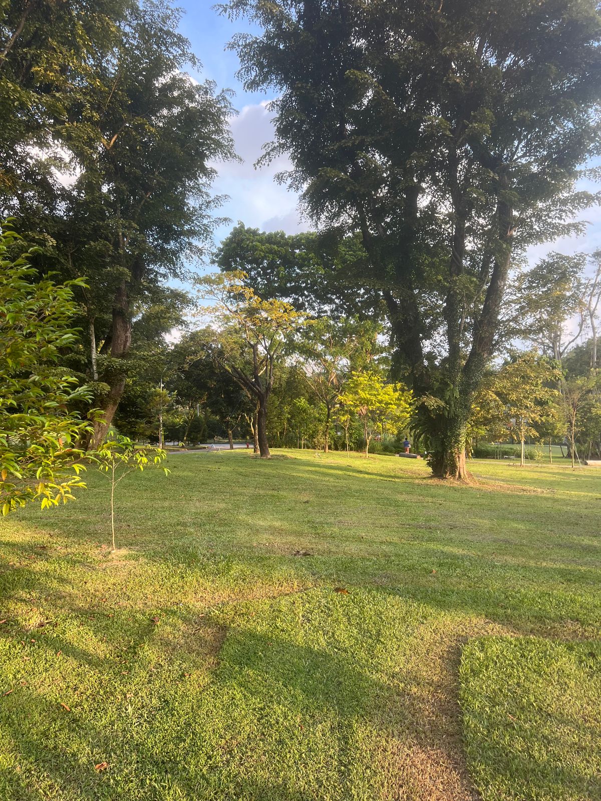Looking towards the green through the double mando of Hole 8.