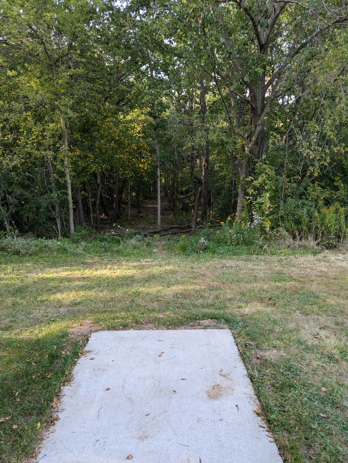 Hole 18's teepad, the courses only par 4
