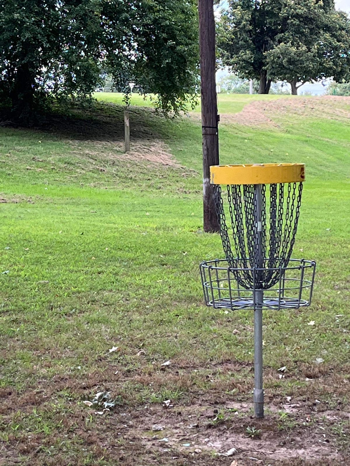 12 basket