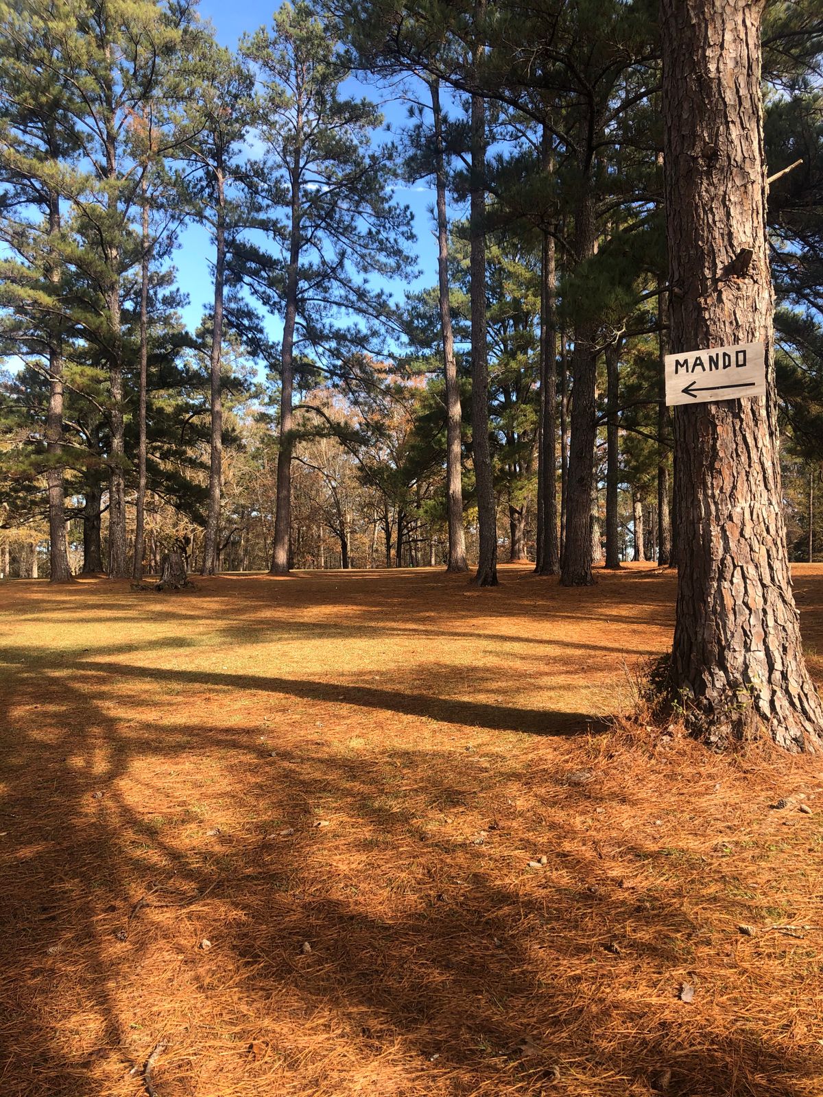 Hole 13