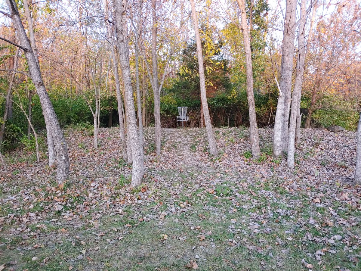 Hole 3 basket