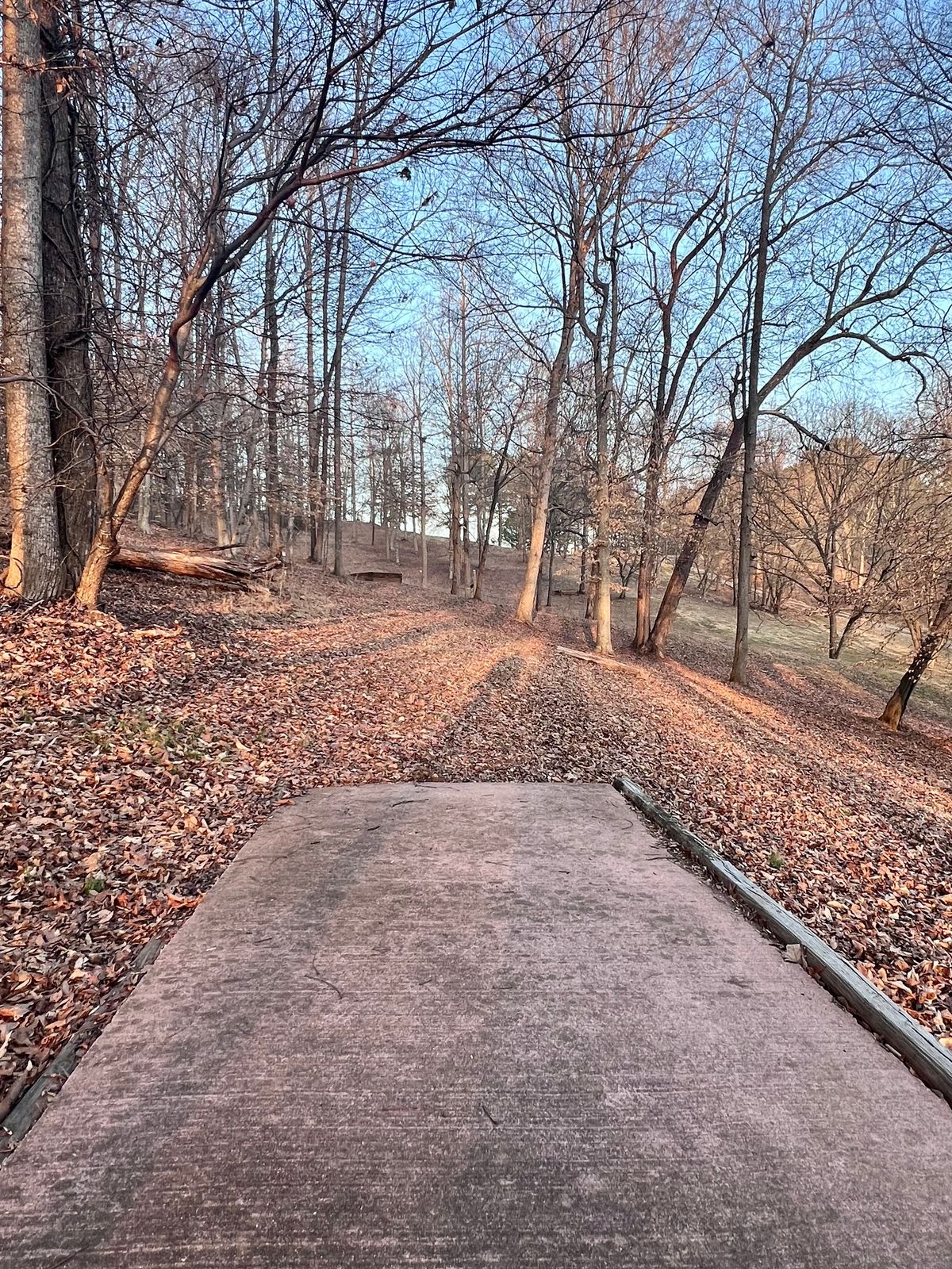 Hole 20 Gold Tee Pad/Fairway.