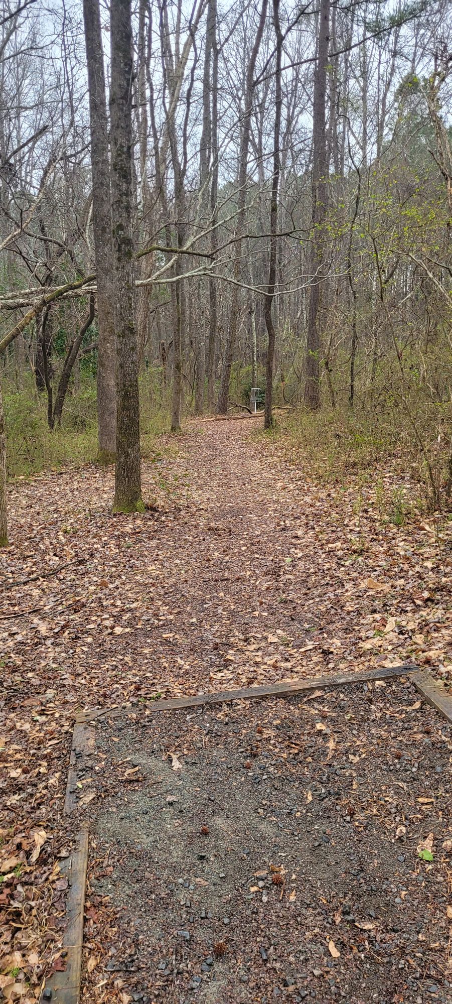 Orange Tee, Hole 12