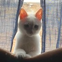 User avatar image