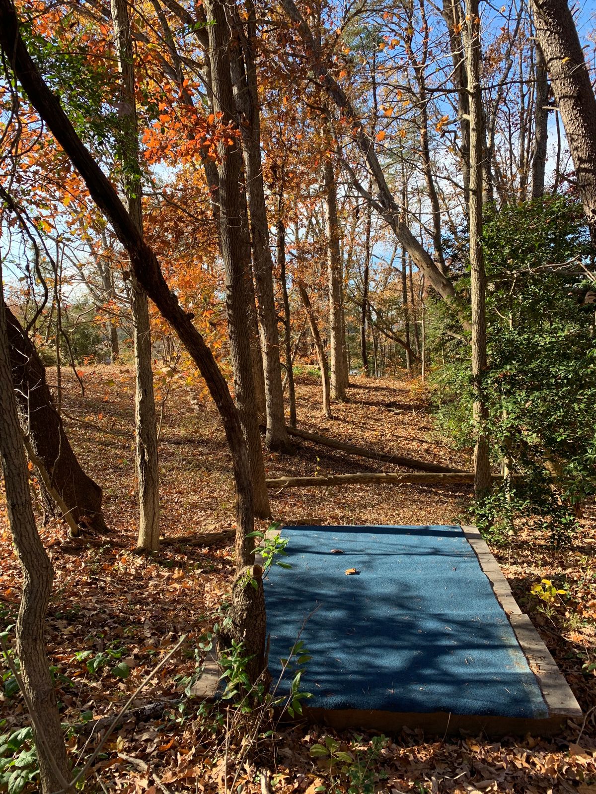 Short 9 tee