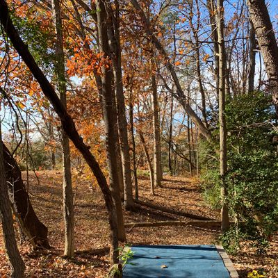 Short 9 tee