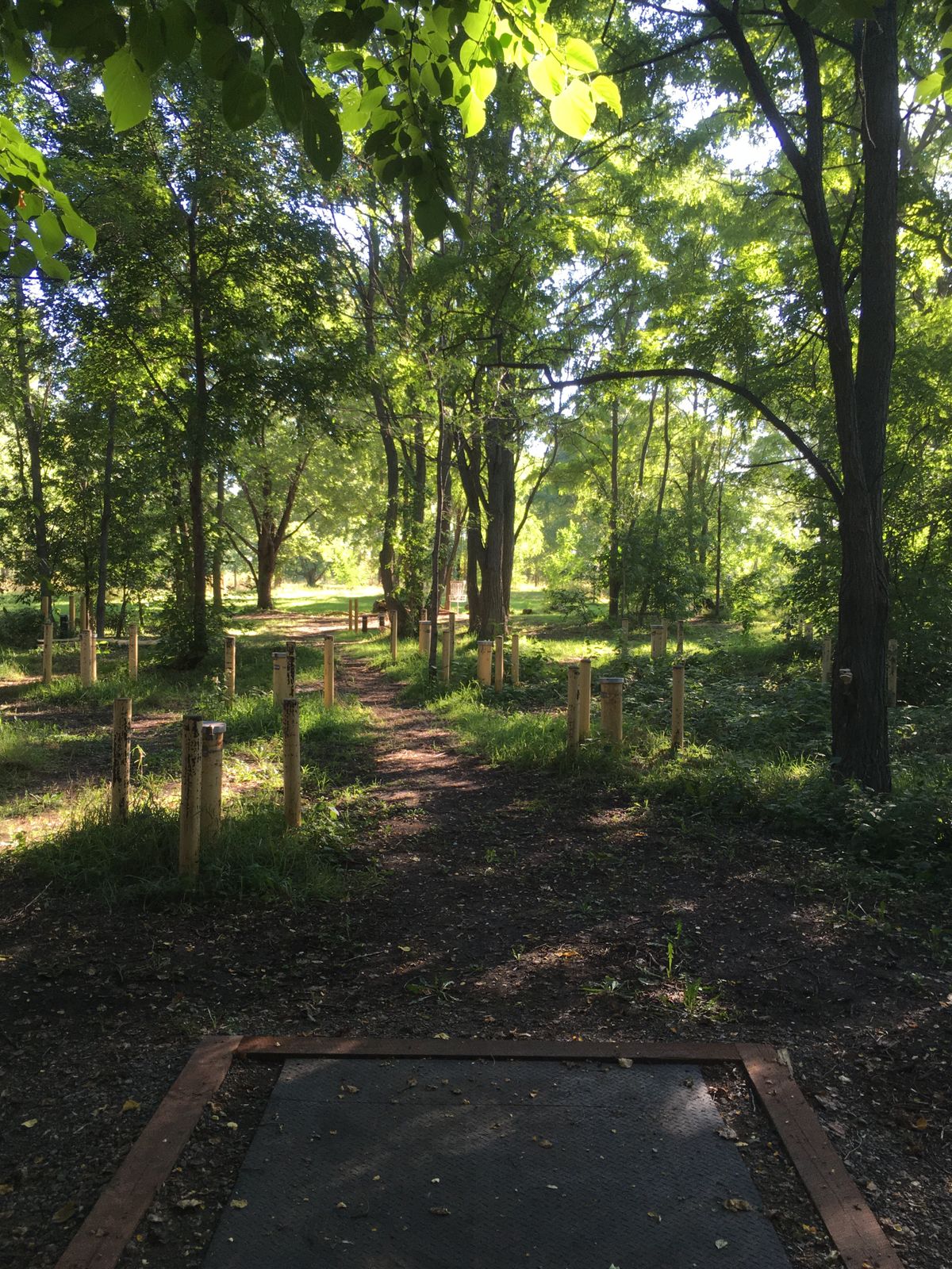 Hole 6 Red tee