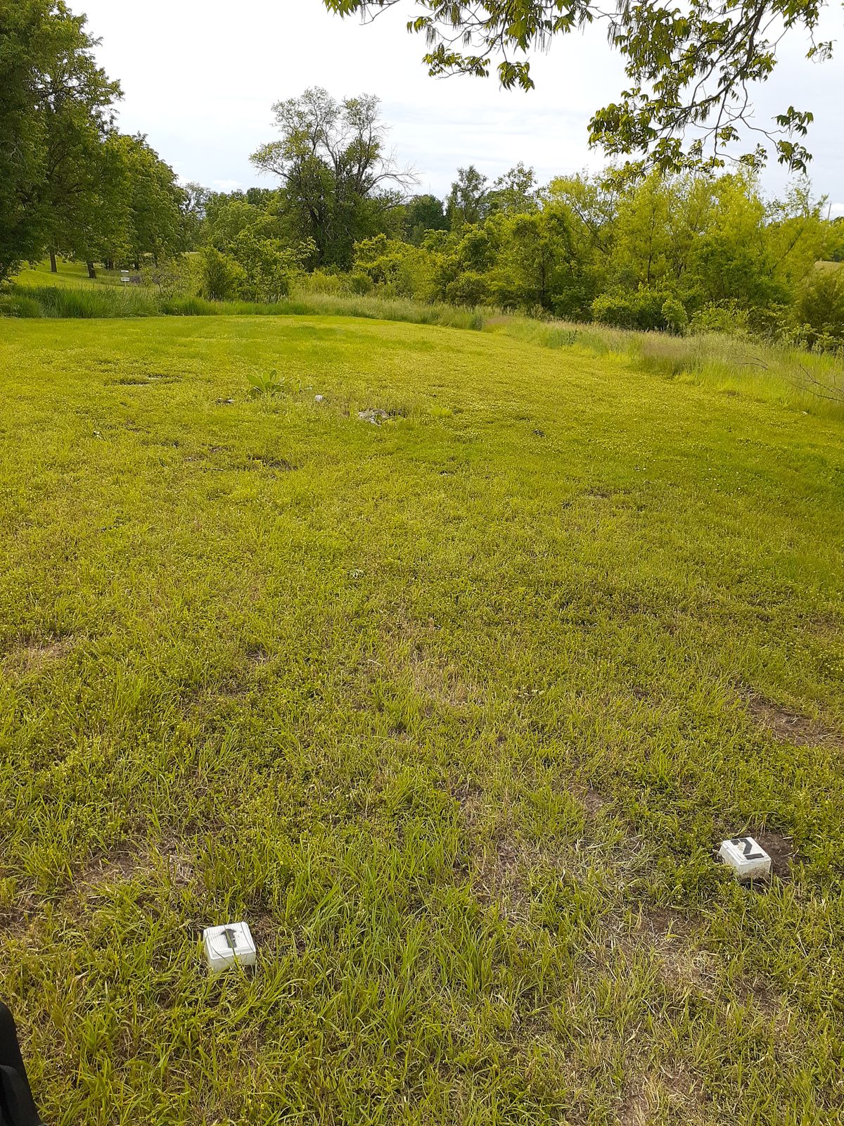 The current tee at hole 2 with an arrow pointed at the basket and hole number