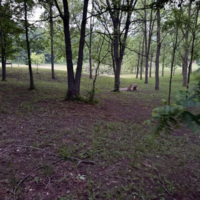 Hole 9 Tee