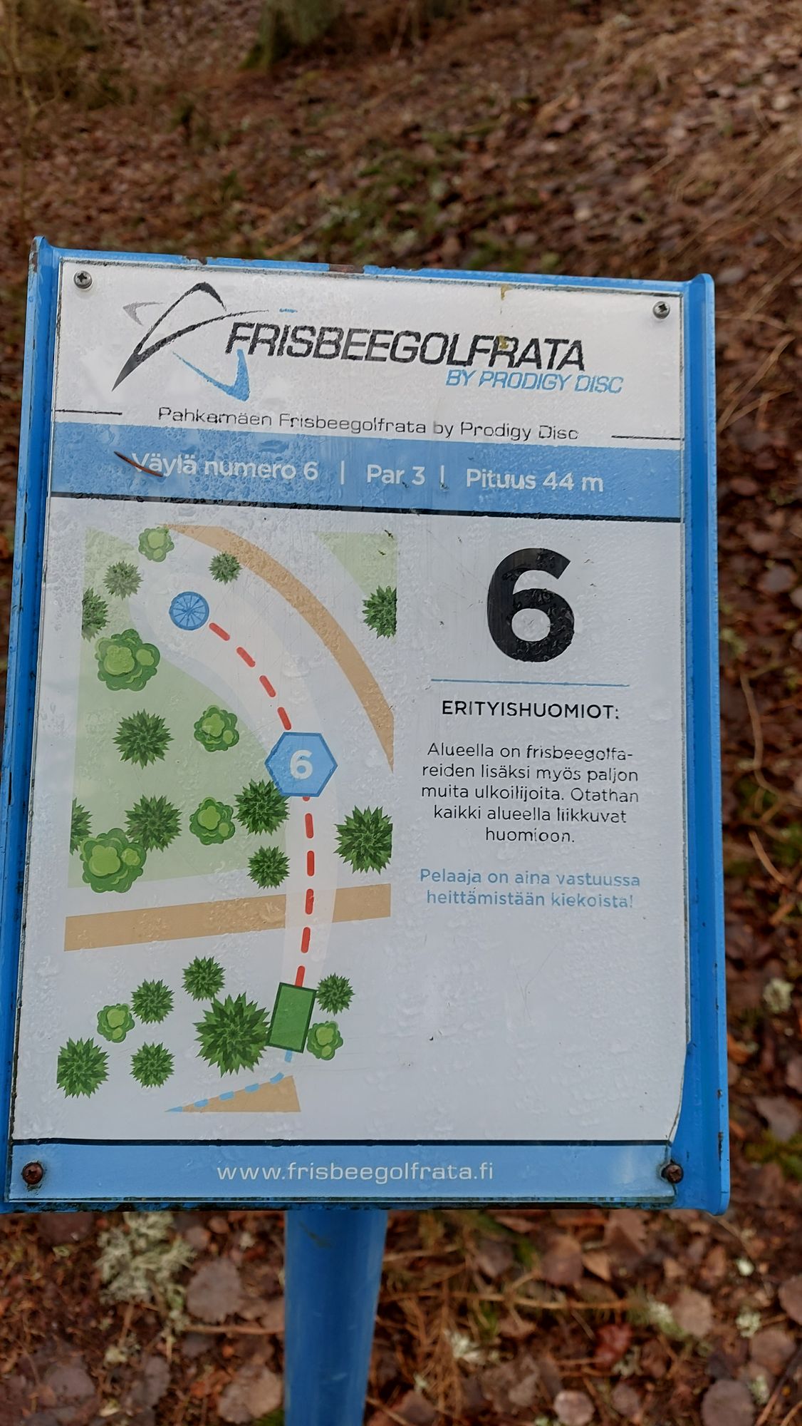Väylä nro 6