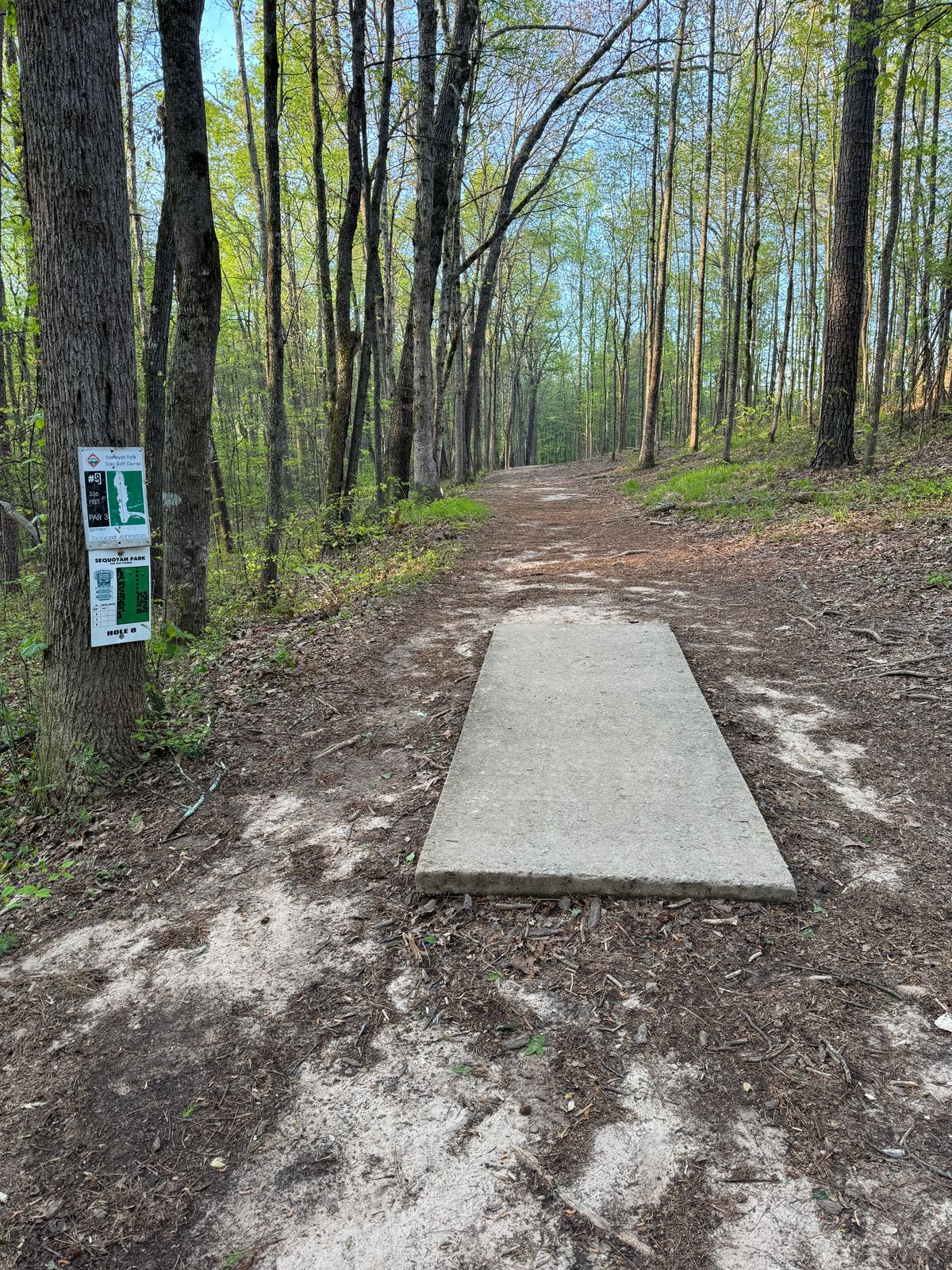 Hole 8