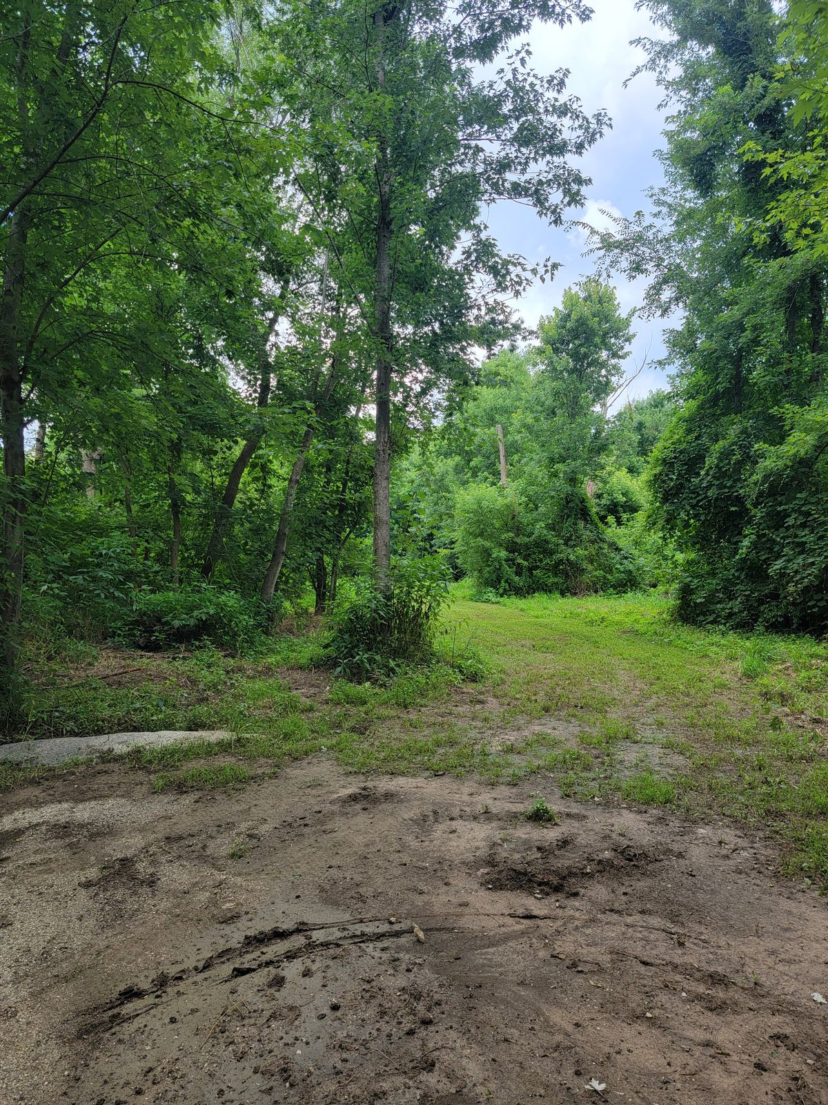 Hole 4