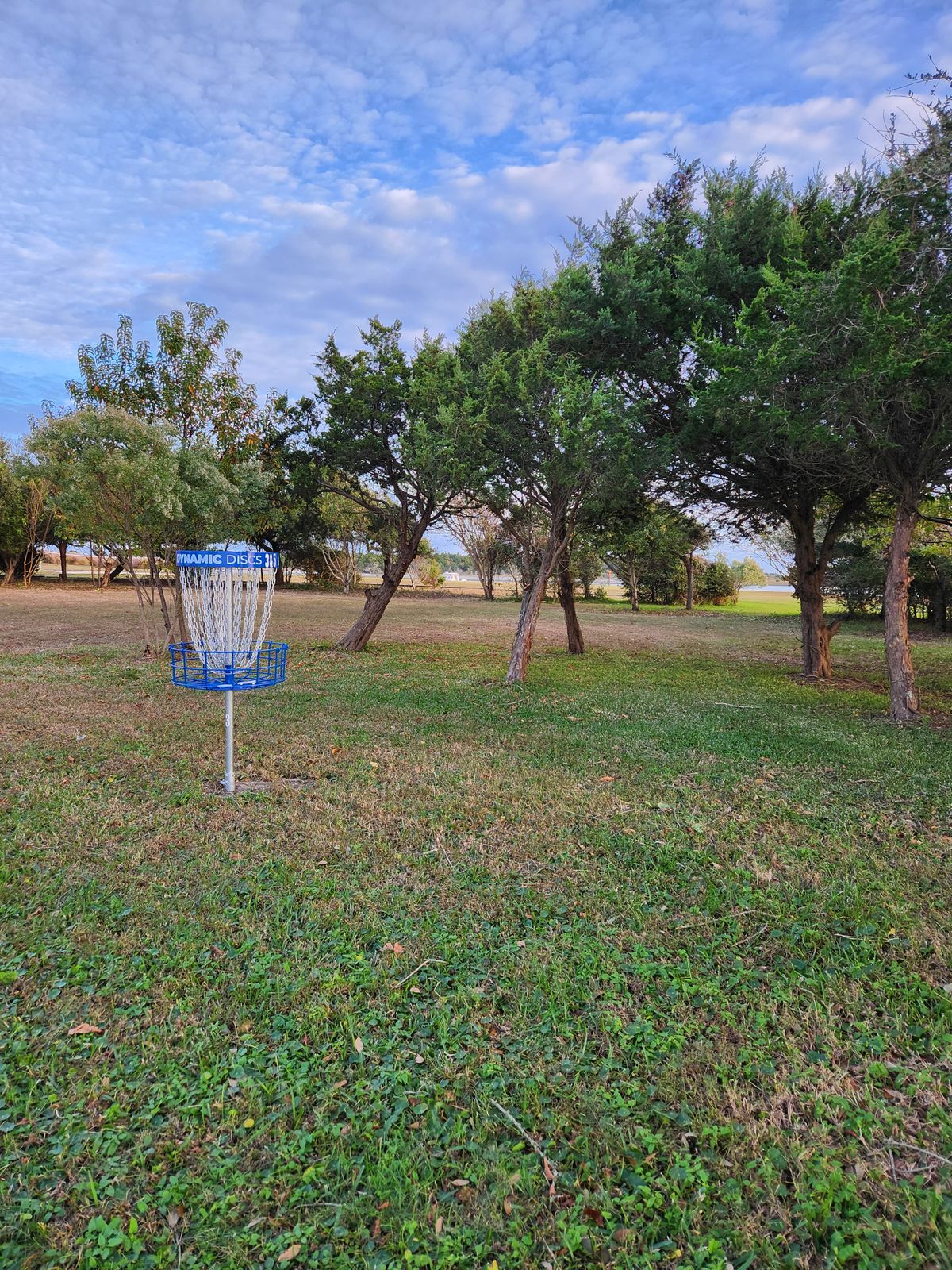 Island hole! Disc must land within railroad ties surrounding the basket. Drop zone is on the floating dock! Shares basket with hole 5.