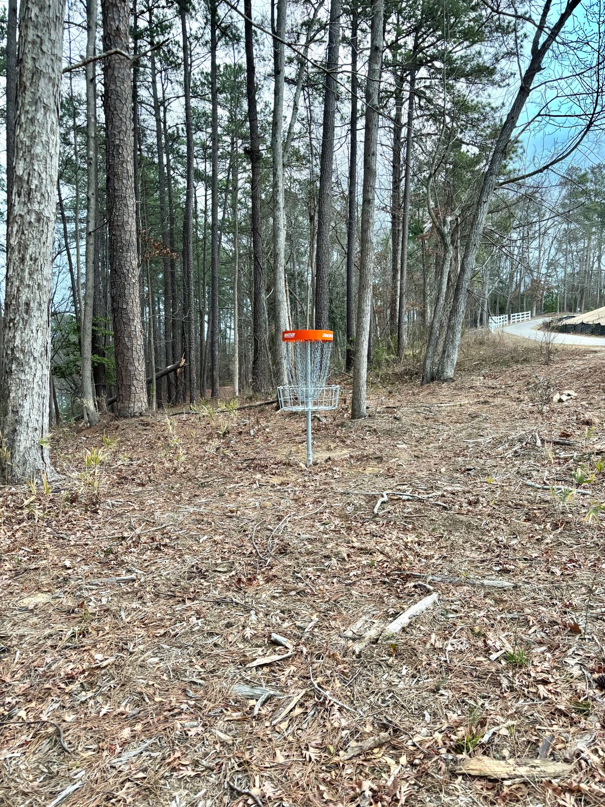 Hole 14 Basket