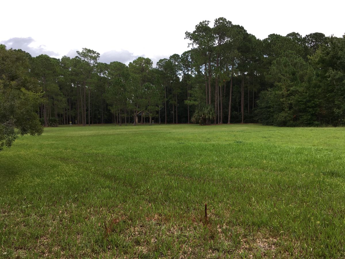 Hole 6 Temp Tee (other is wet)
