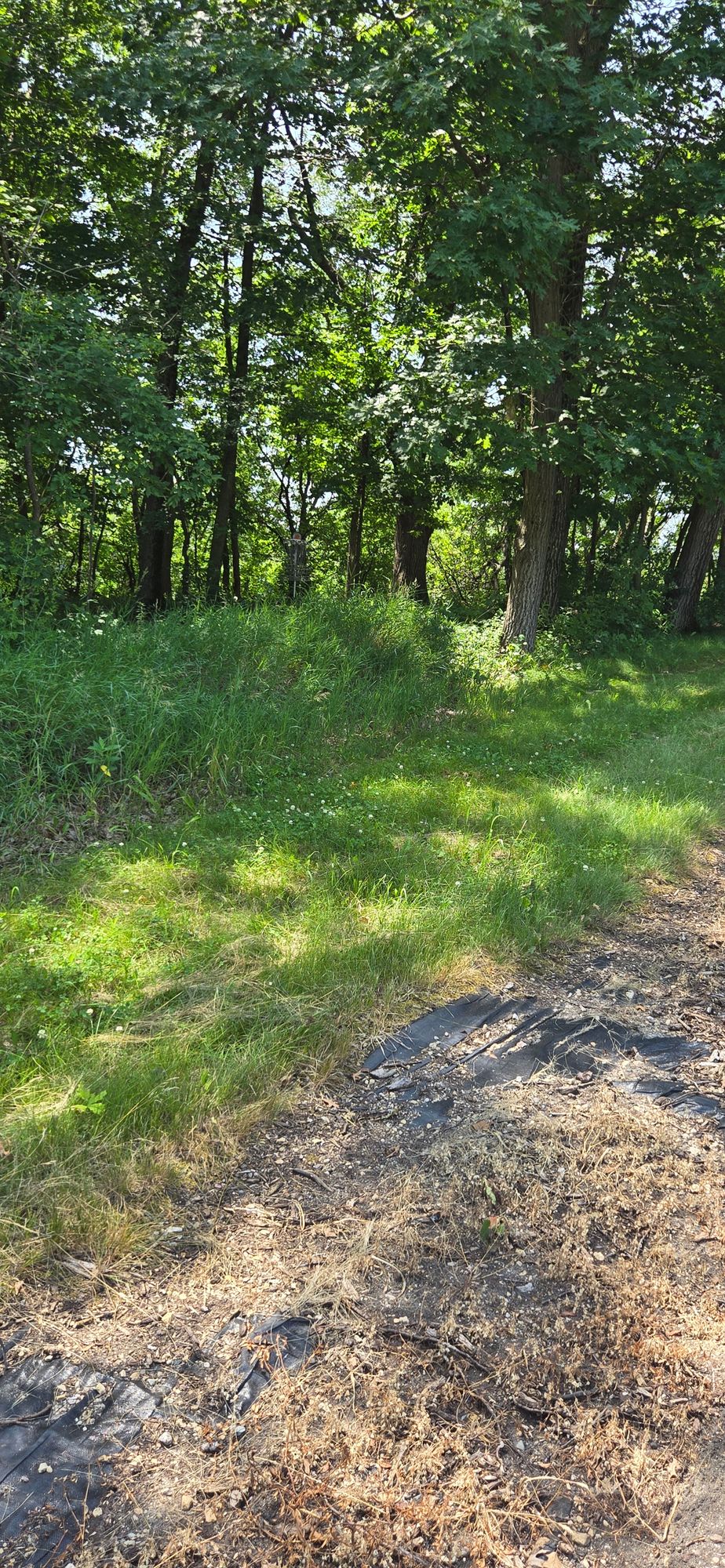 Hole 9