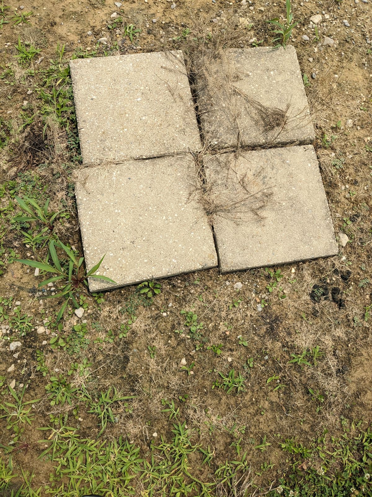 Tee pads