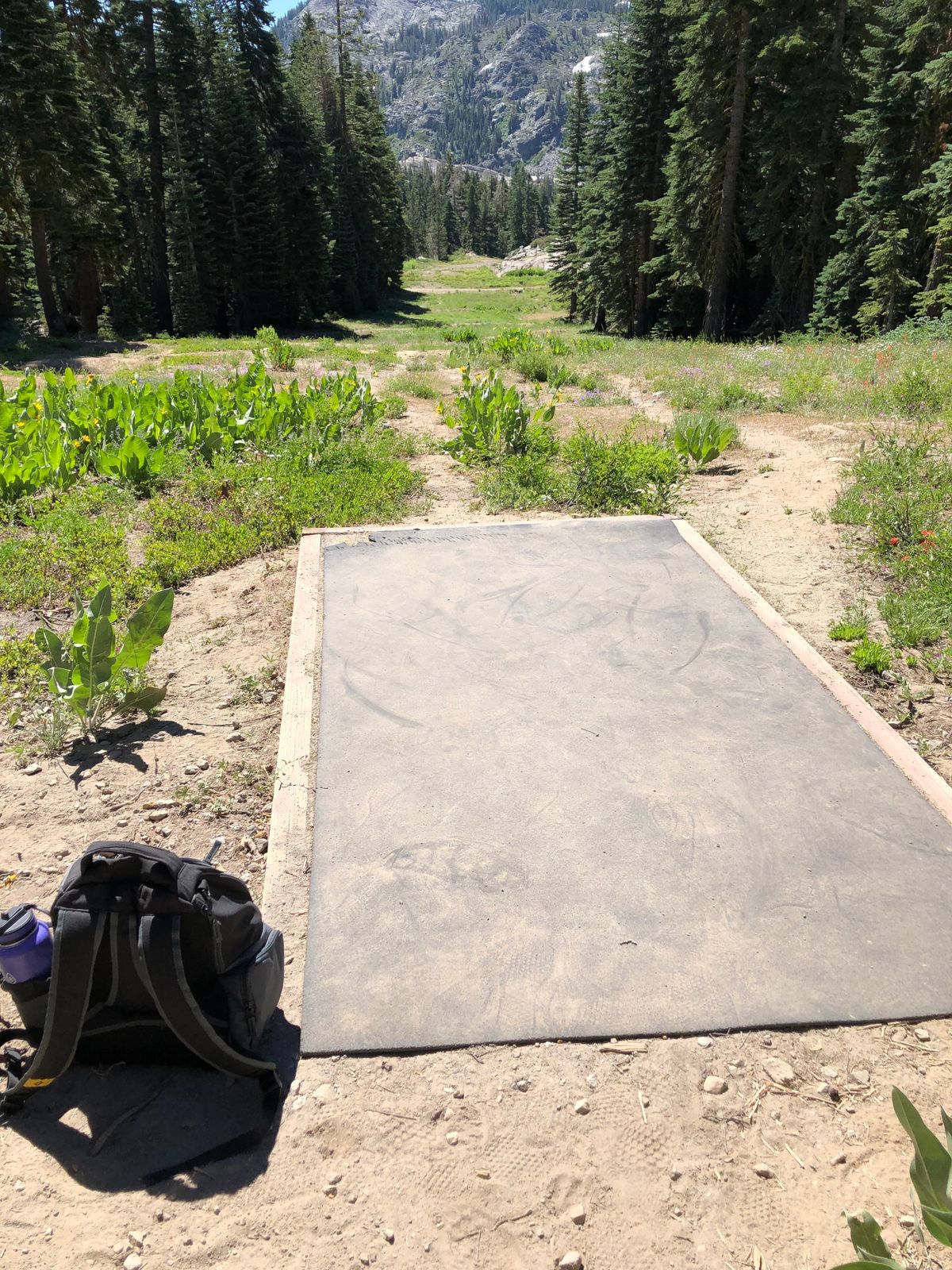 Tee pad