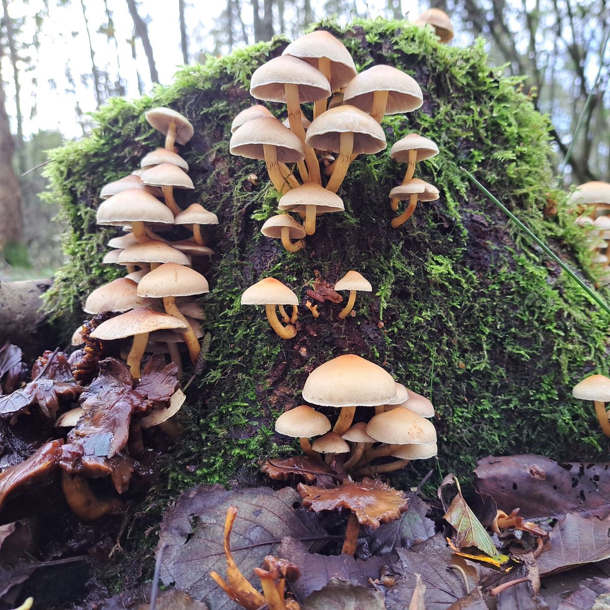 Zelfs in de herfst is het mooi op de baan
