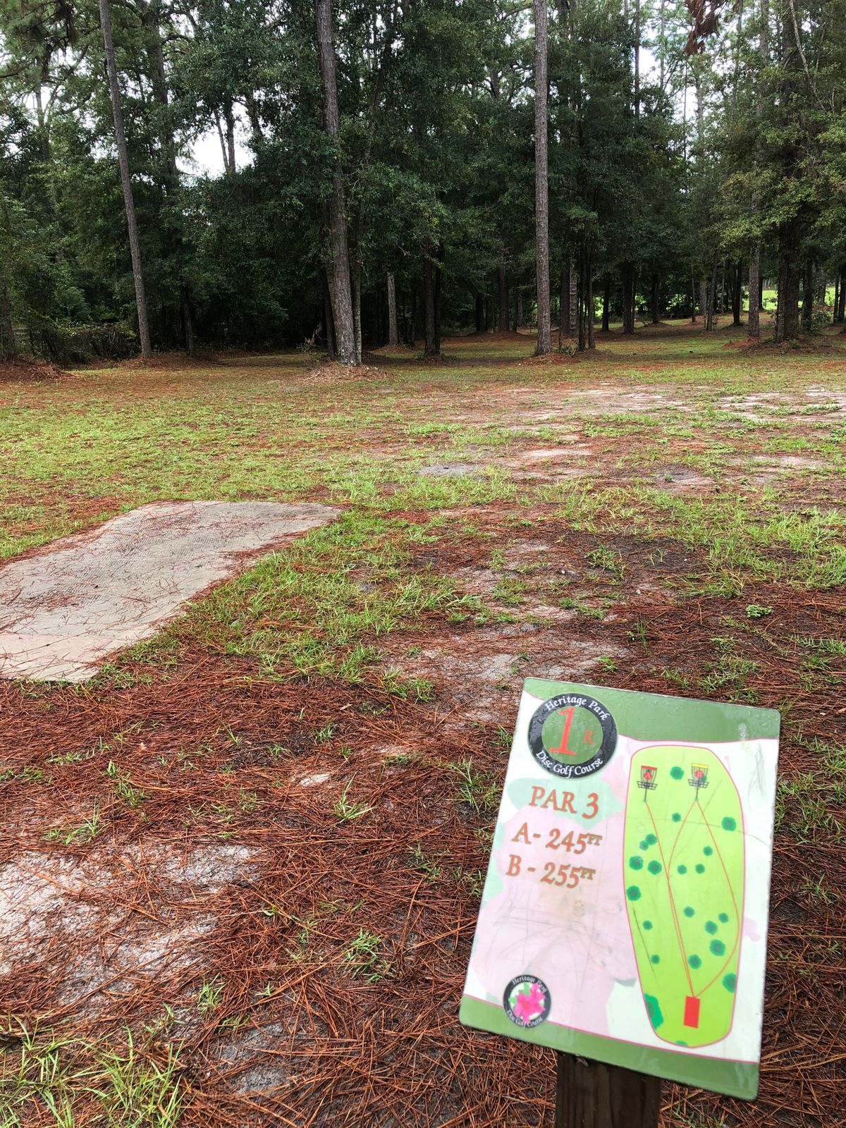 Hole 1