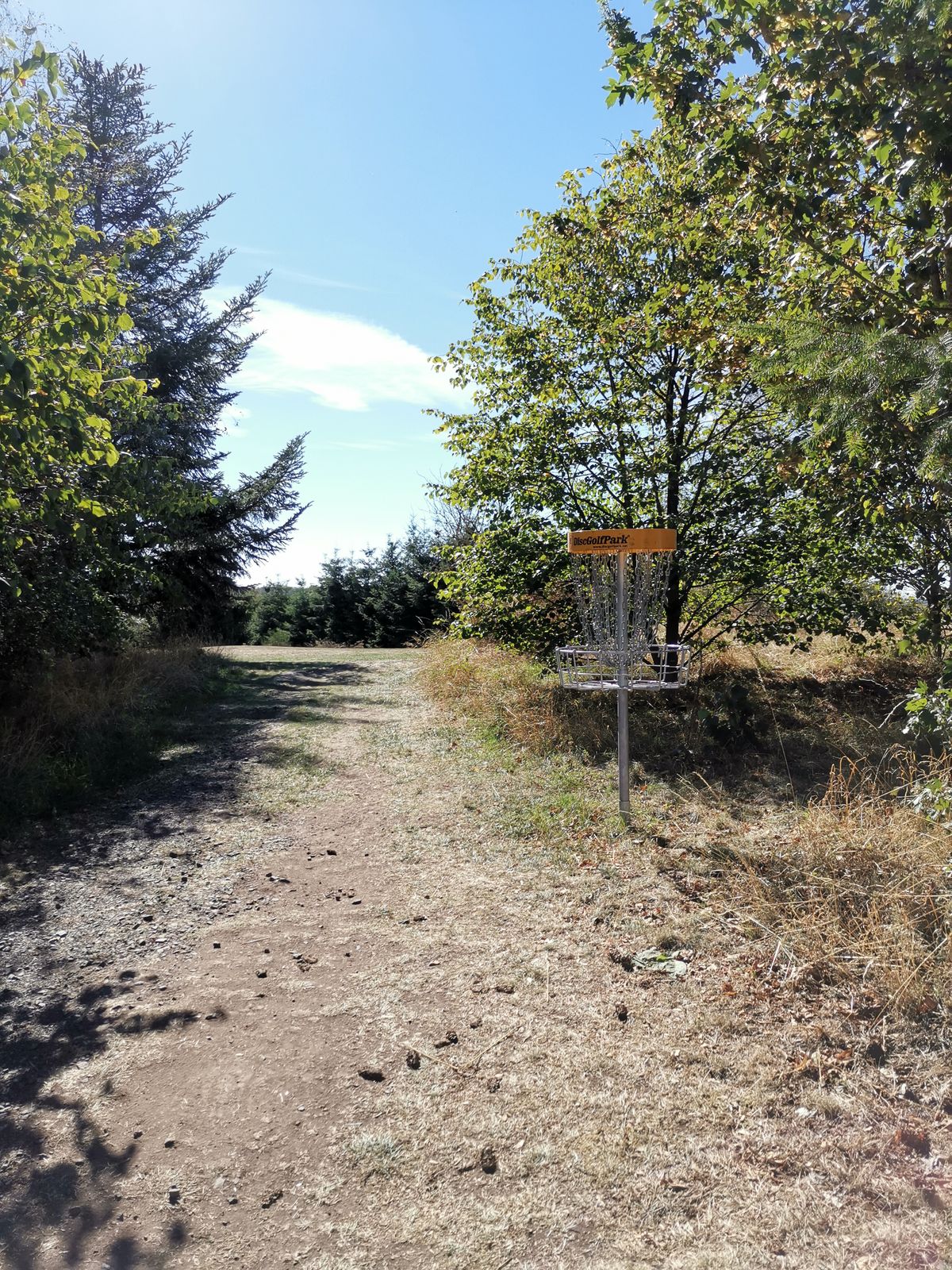 Basket of hole 7