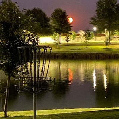 Hole 16 Basket