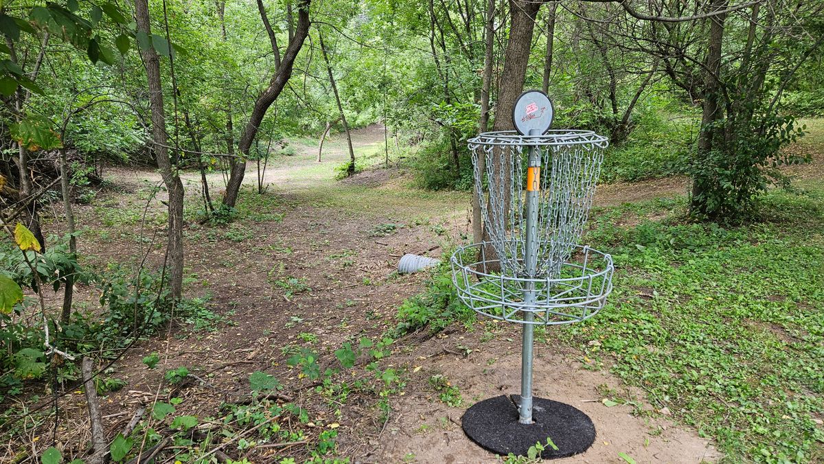 Hole 7. Looking back toward the tee pad.