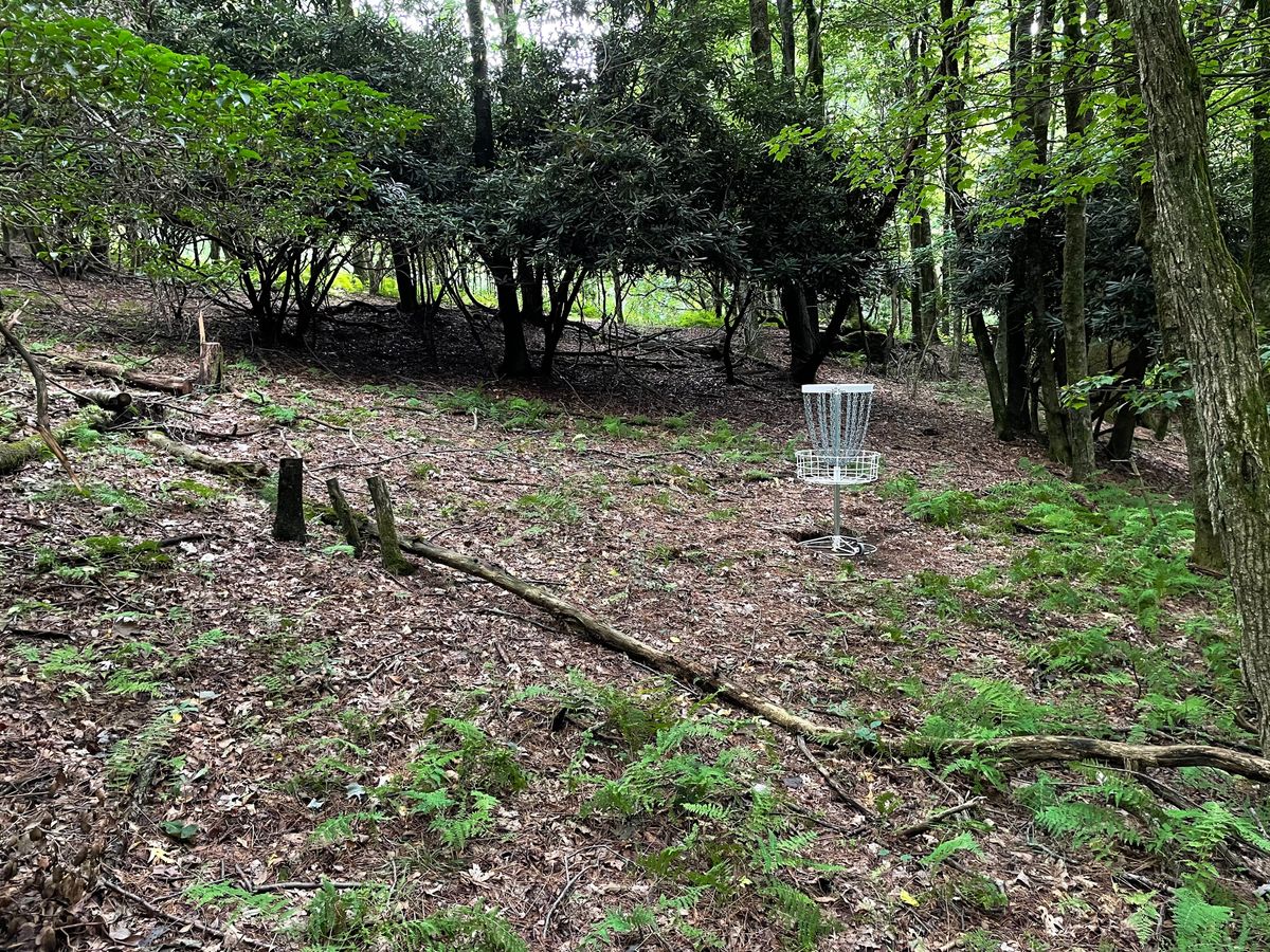 Hole 9 green.