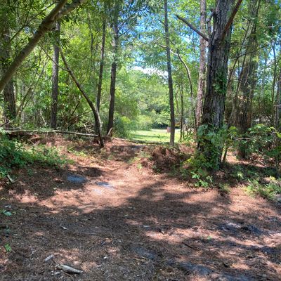 Hole 2 short tee