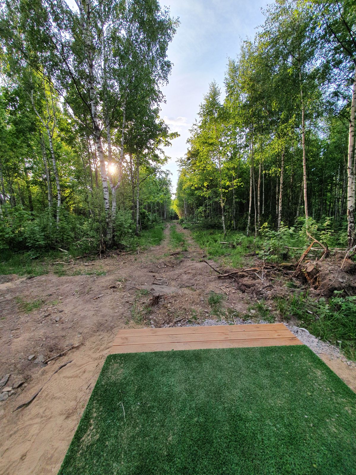 Hole 15