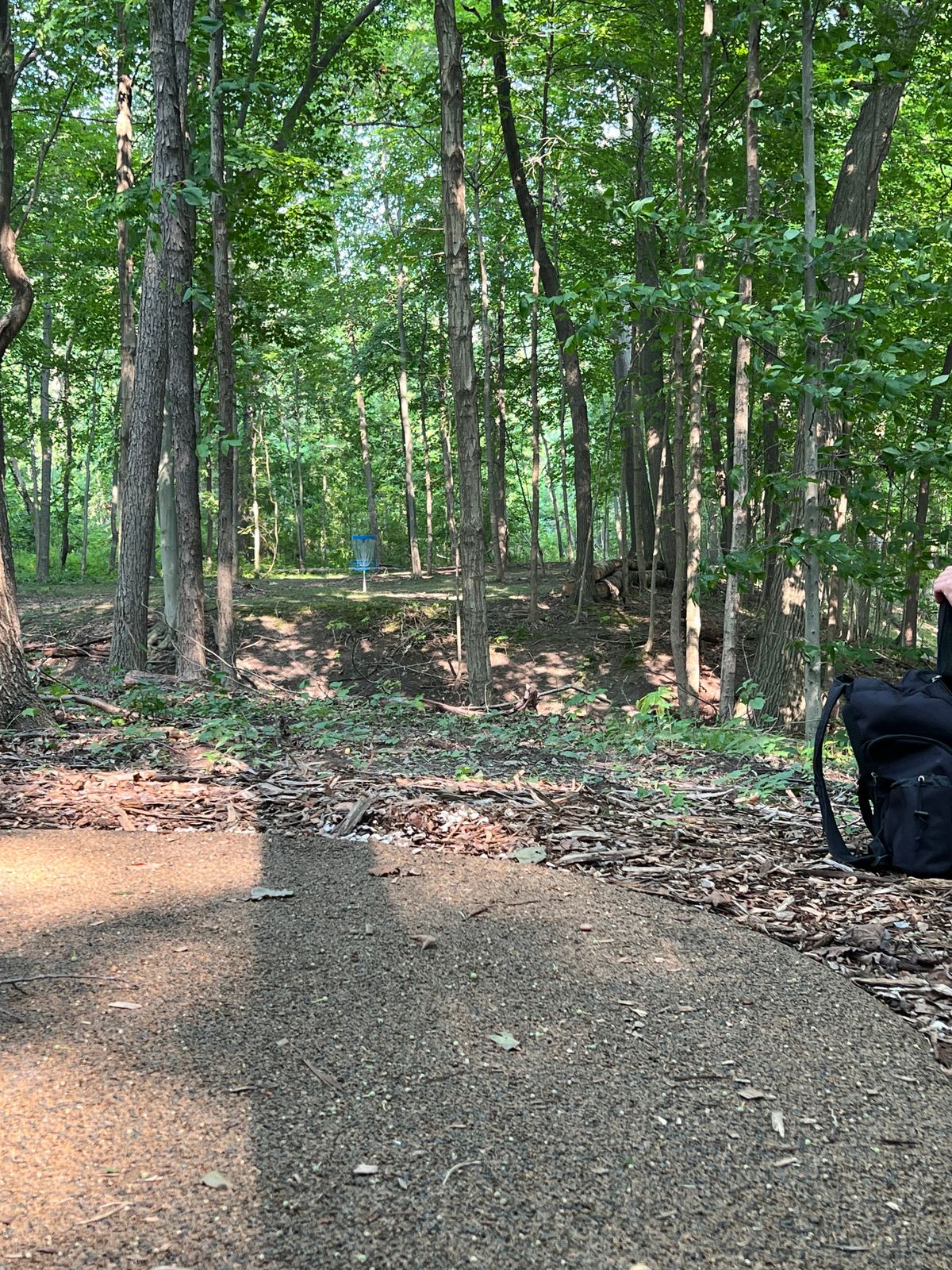 Hole 13 (Blue)