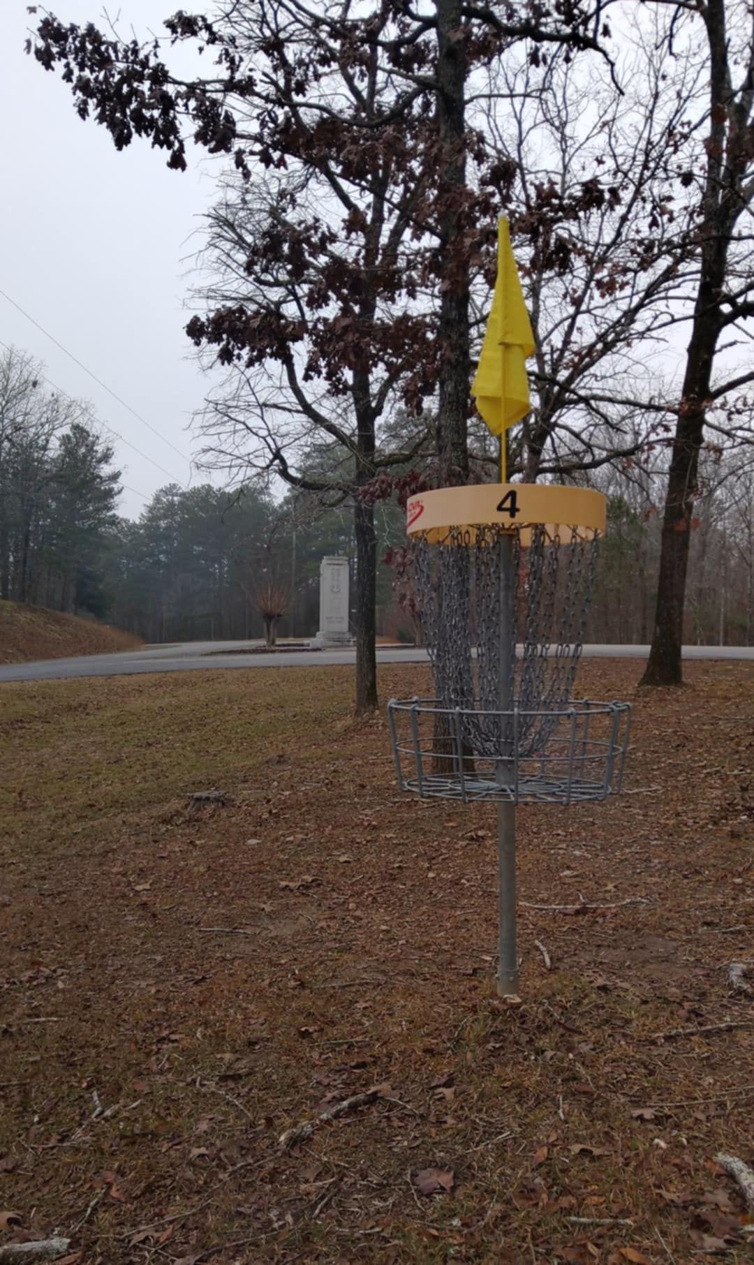 Basket 4 near Bobby Brown Park Monument