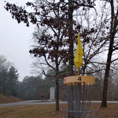 Basket 4 near Bobby Brown Park Monument