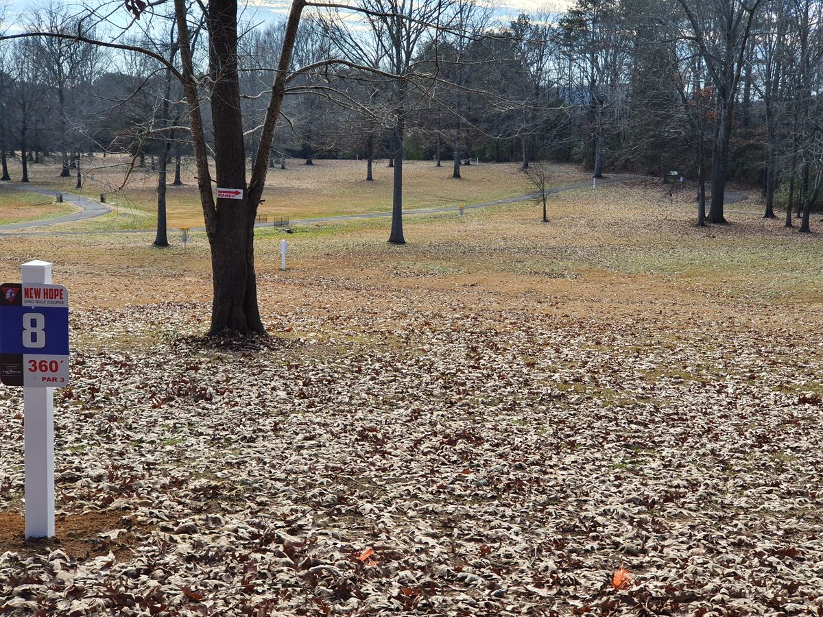 hole 8 look from tee pad