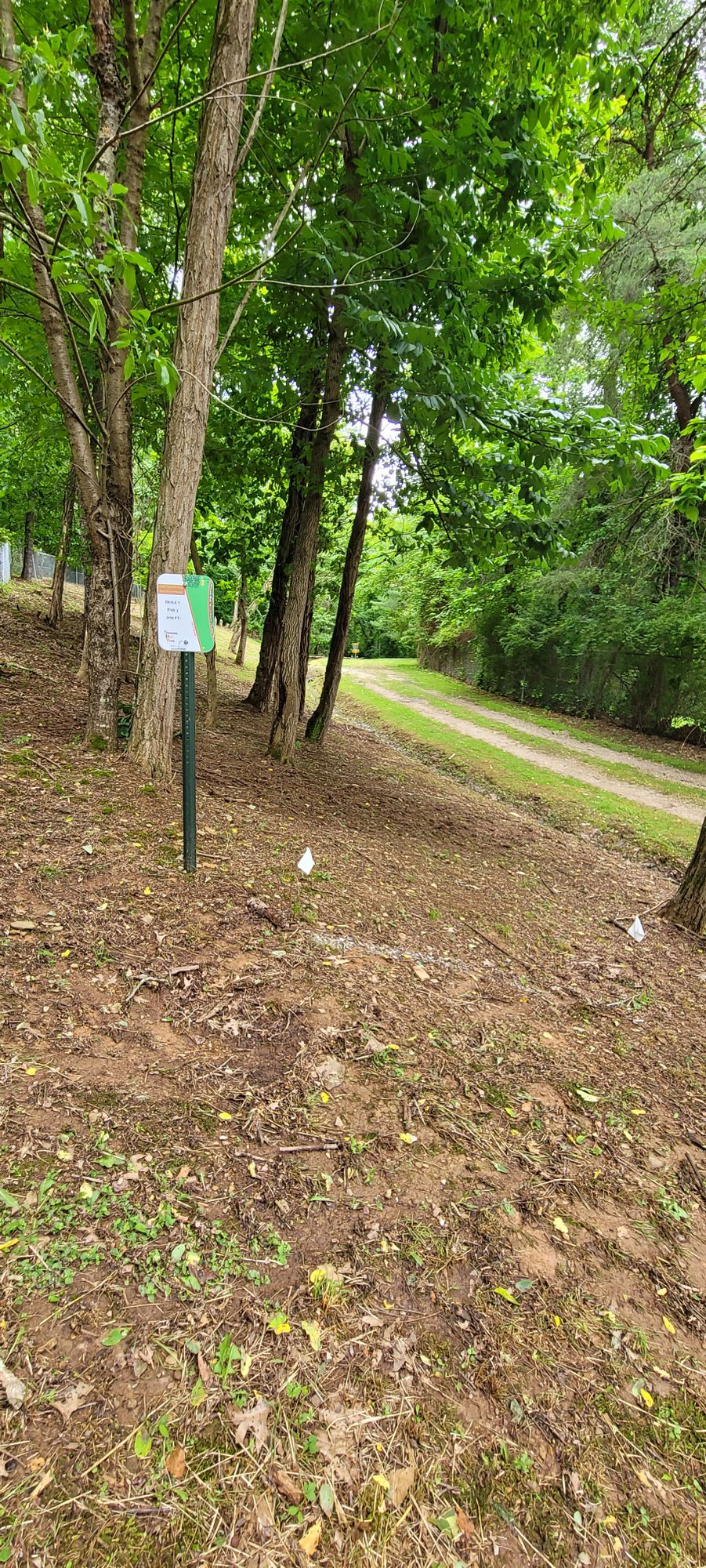 Hole 7 Tee