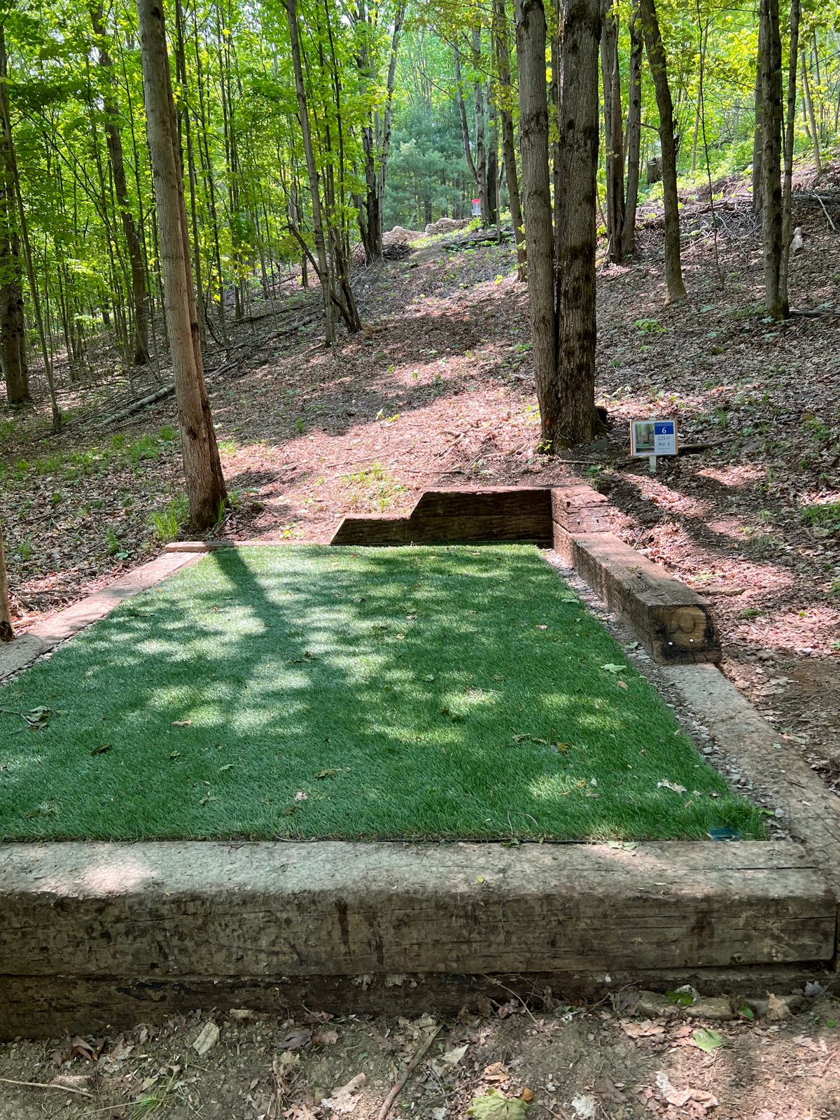 Hole 6 tee