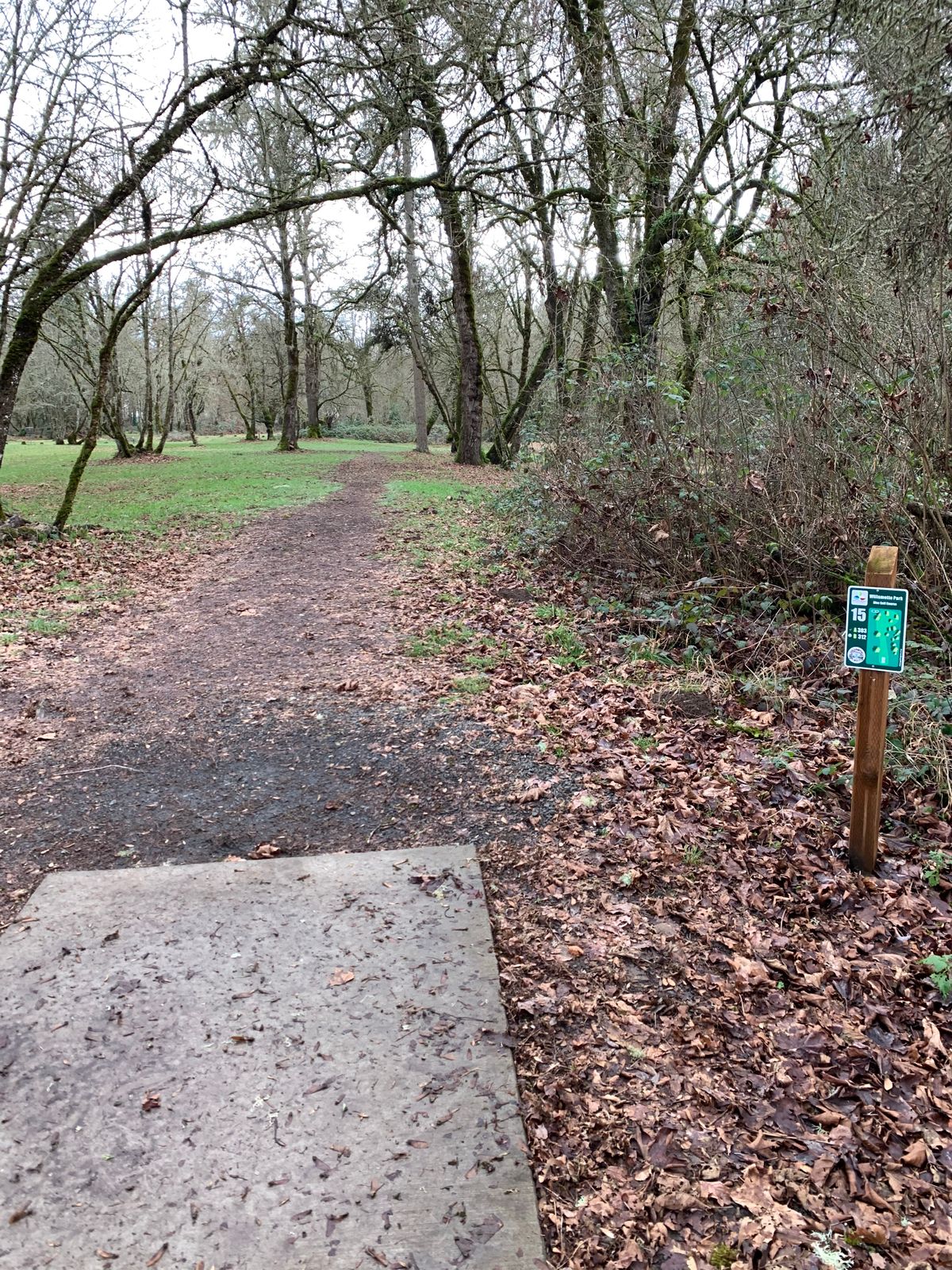 Hole 15