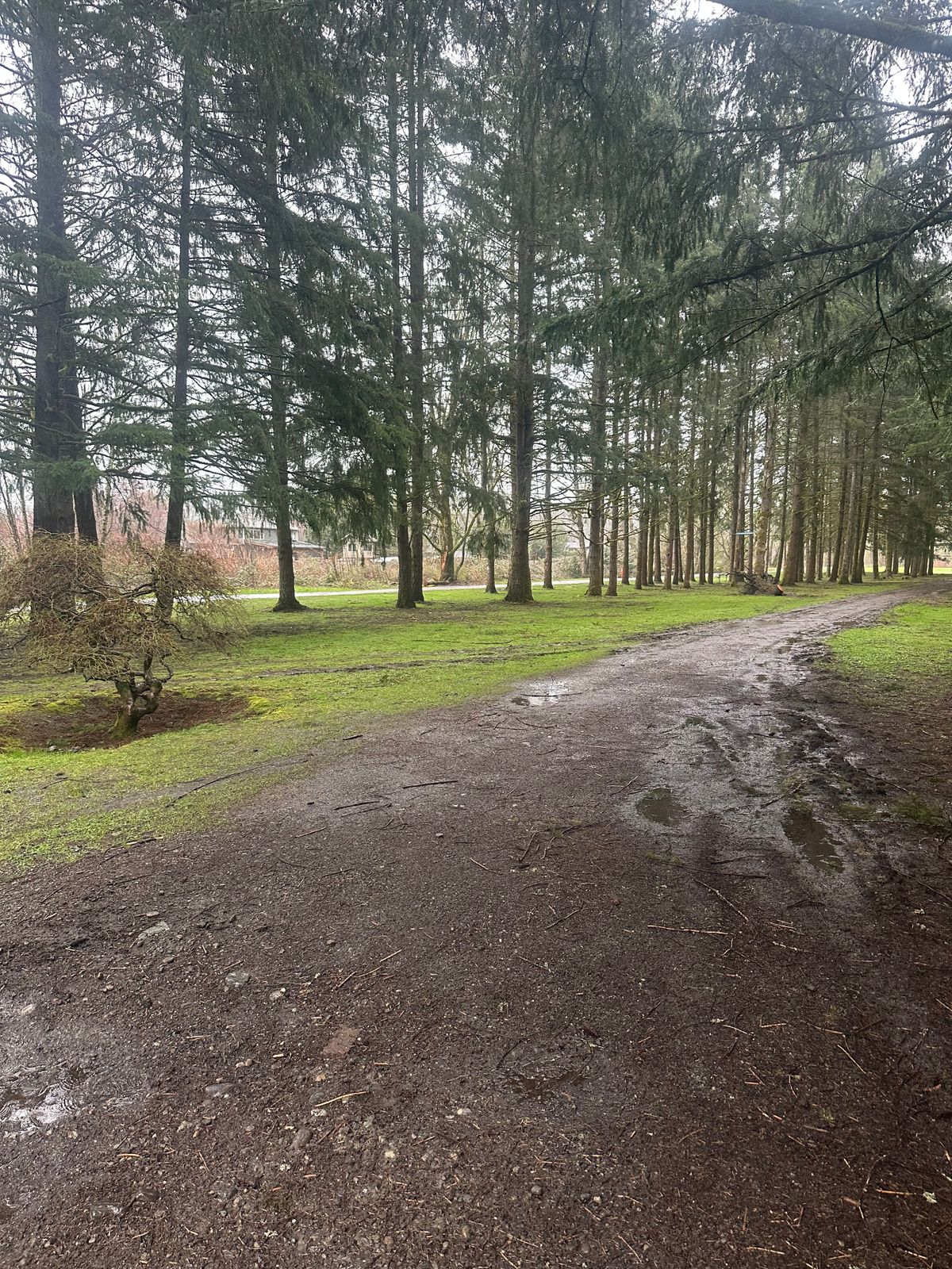Hole 1