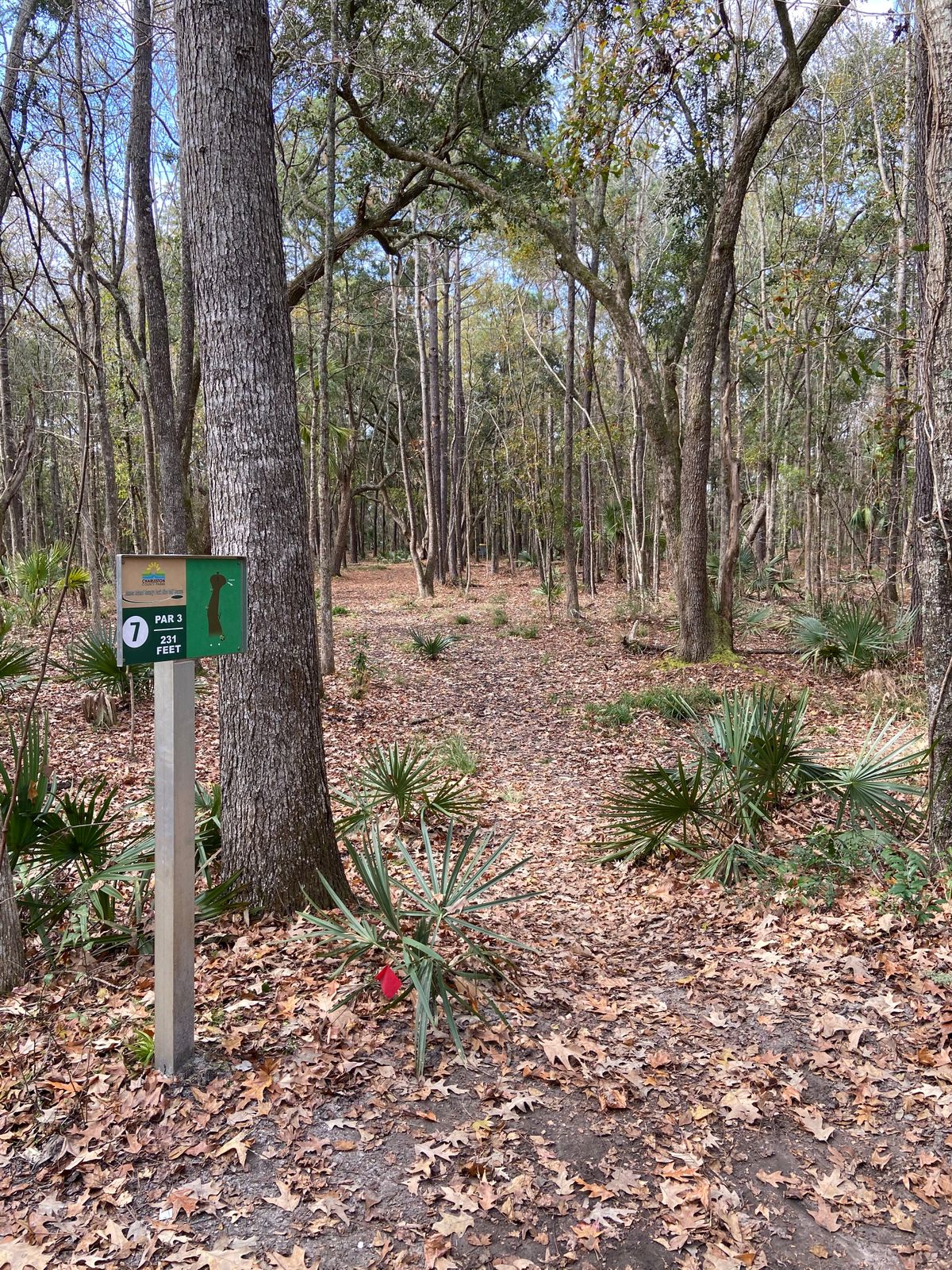 Hole 7
