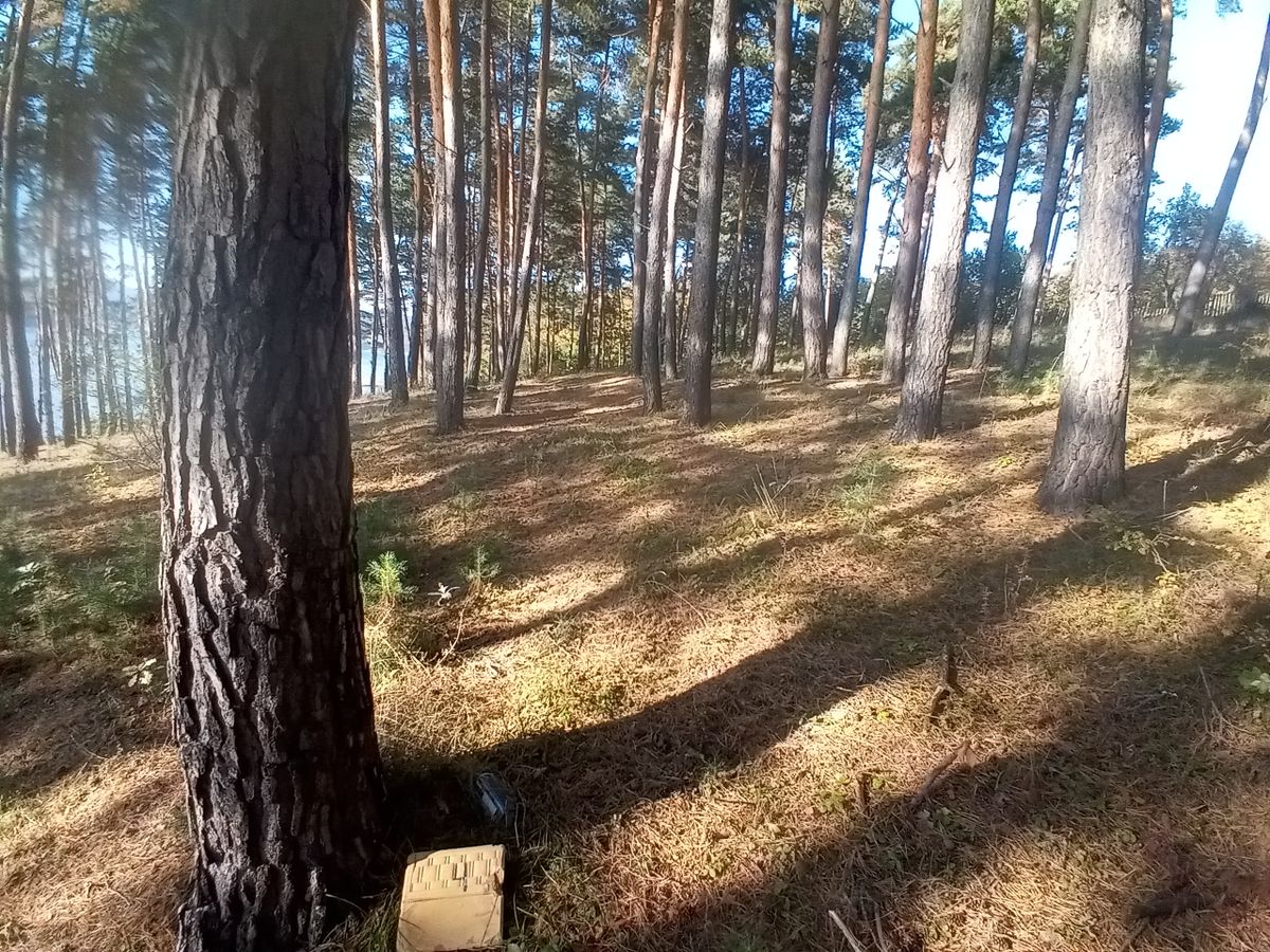 Hole 4 Tee