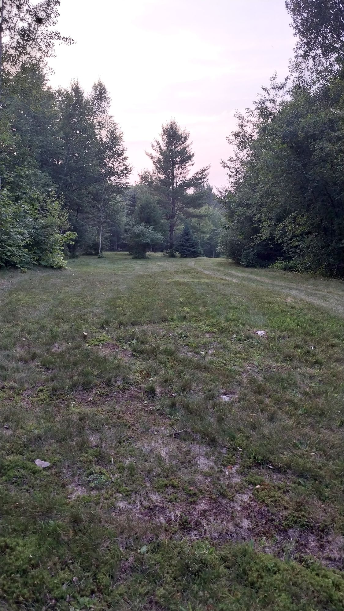 Short tee 18