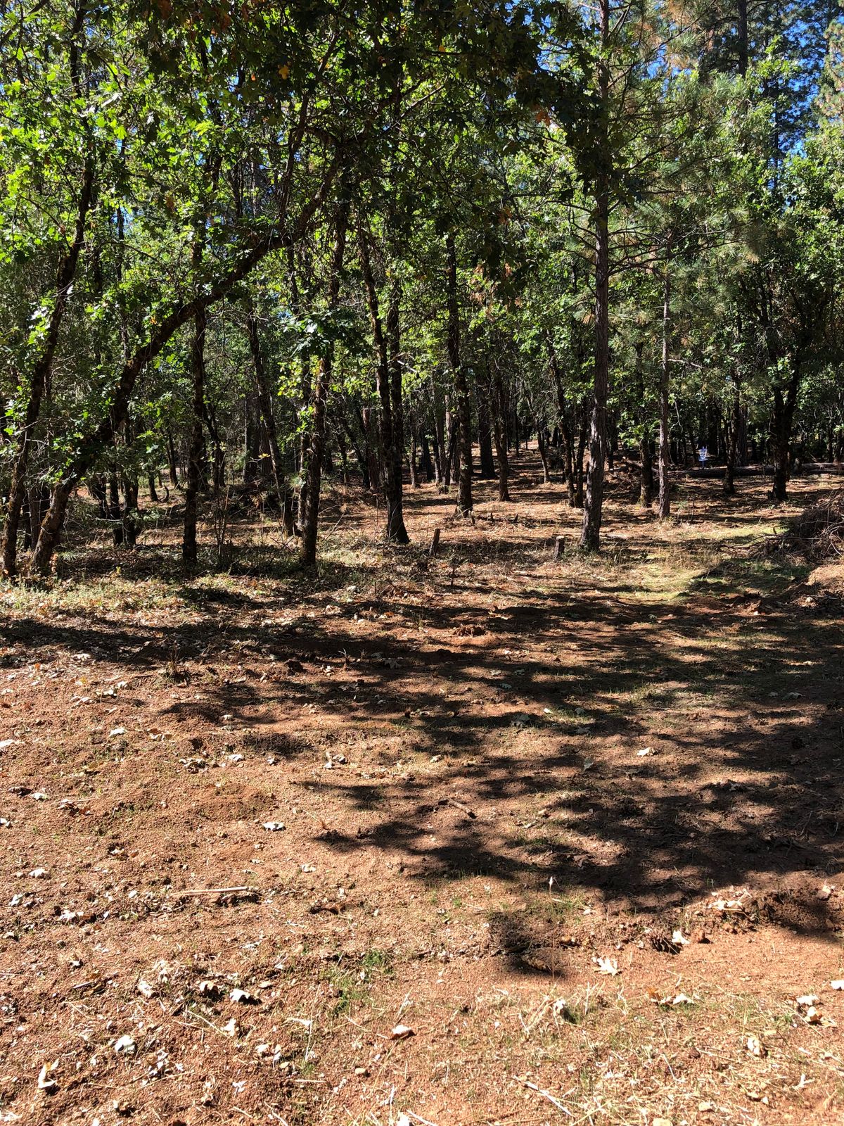 Tee 12