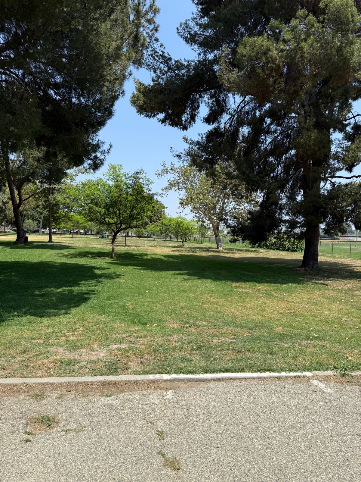Hole 24 Tee