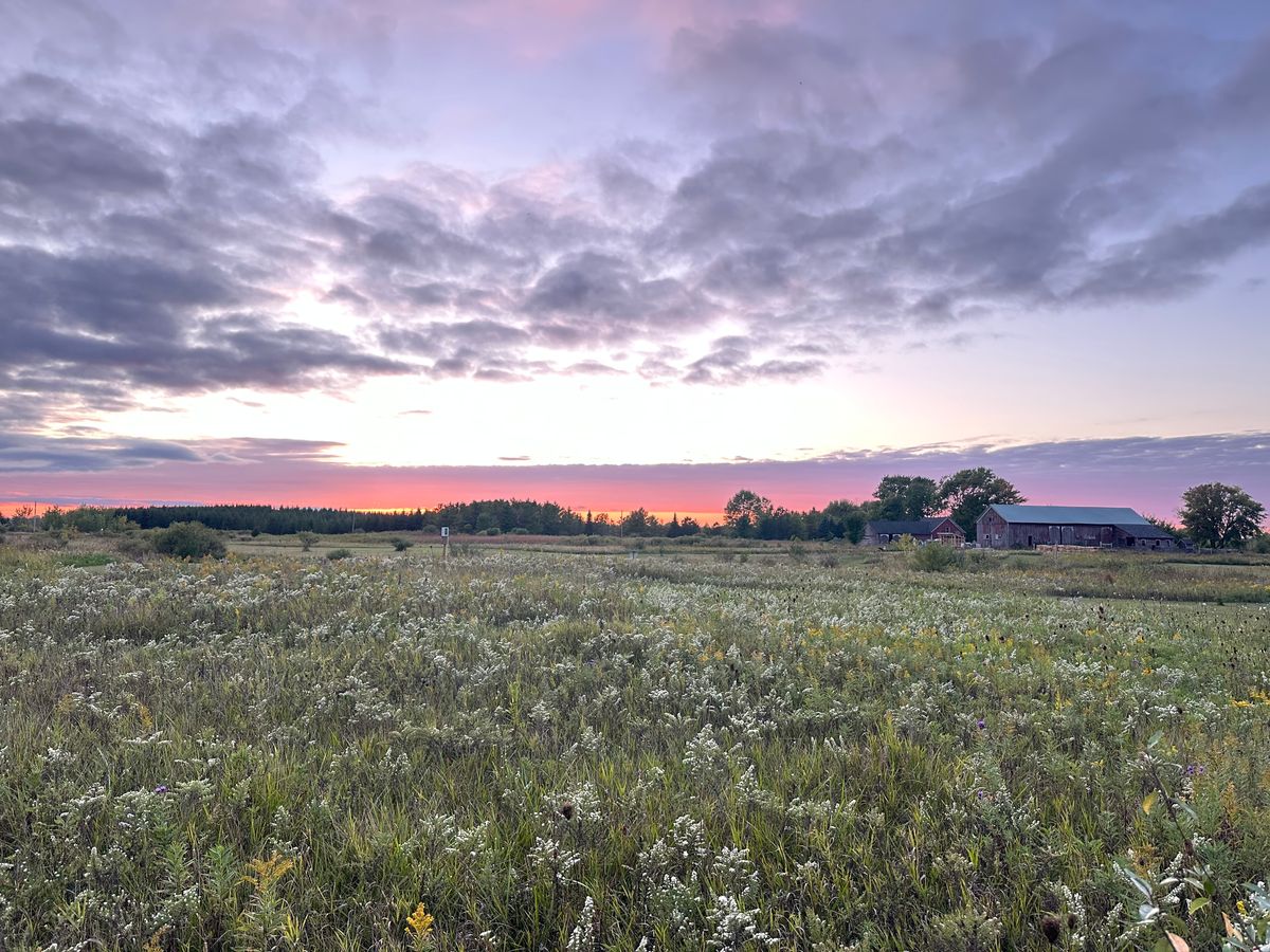 The open field between 15 and 17