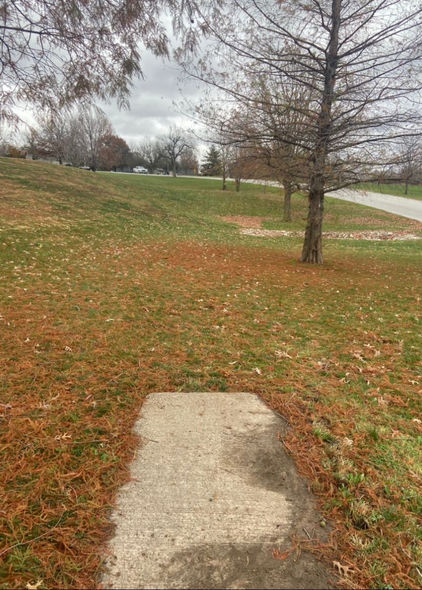 Straight shot over drainage ditch under group of trees