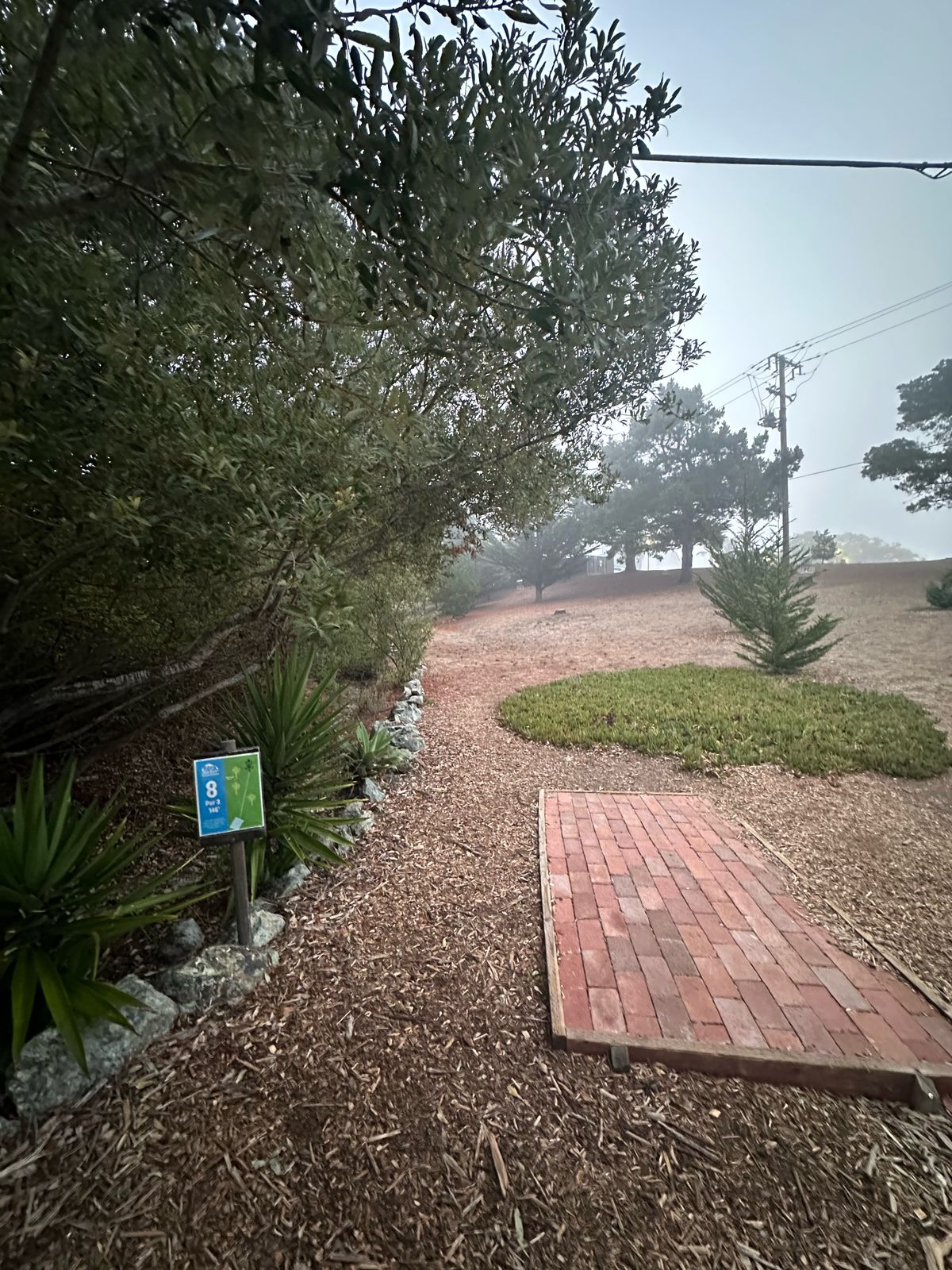 Tee pad 8