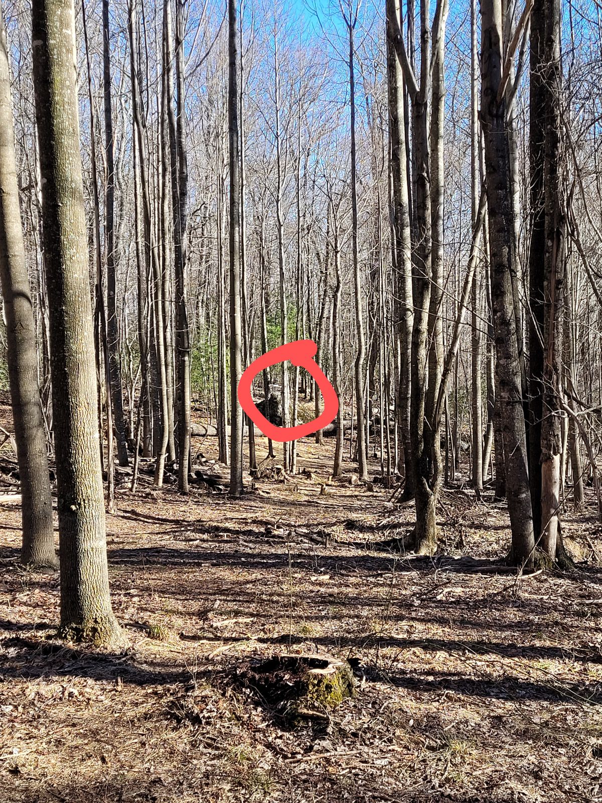 Hole #5 from pad