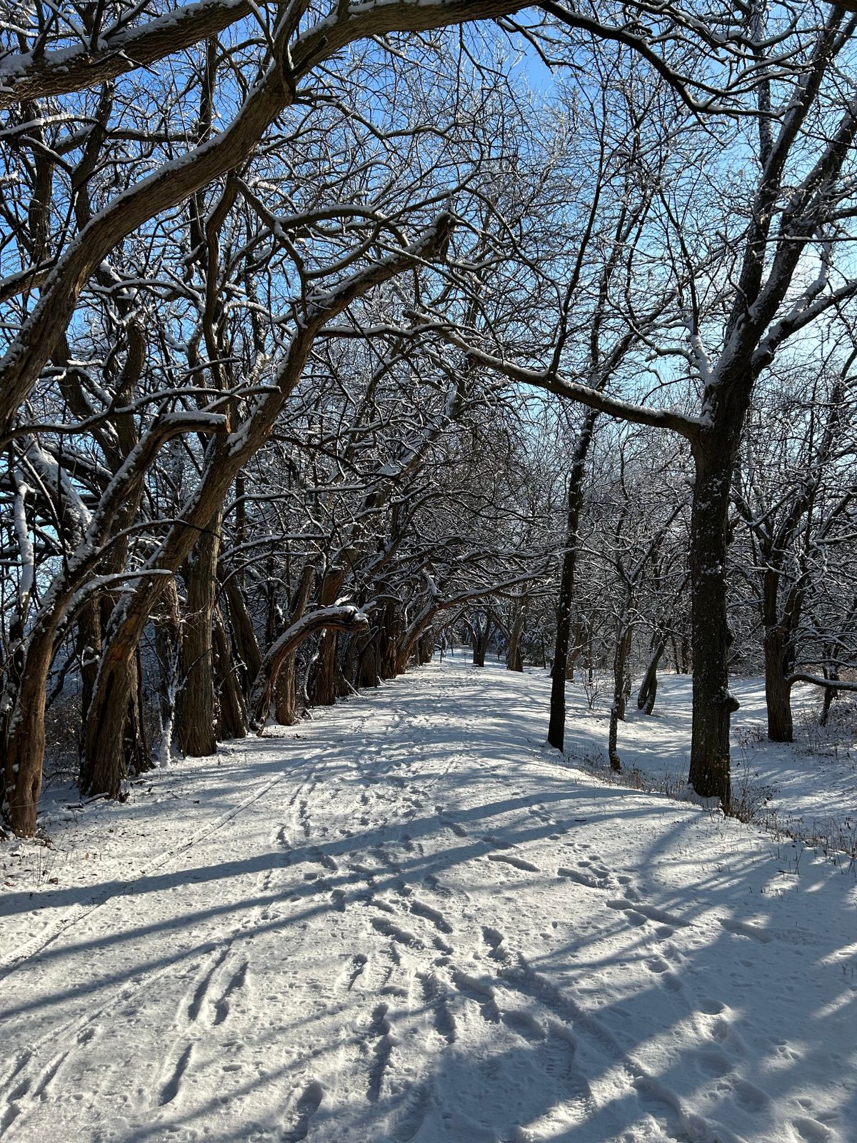Hole 15 (1/22/23)