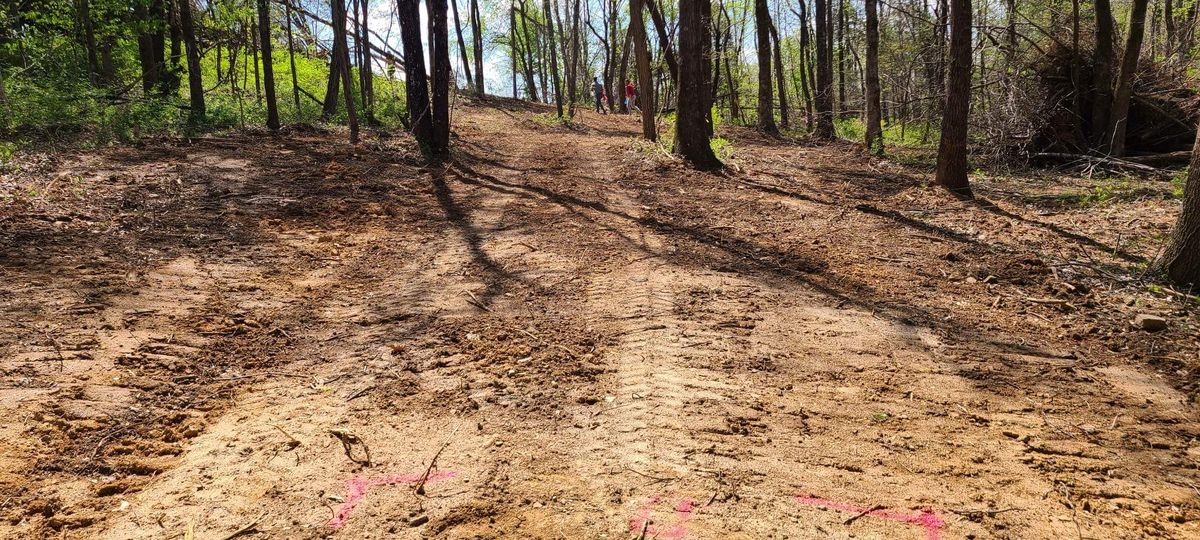 Hole 4 tee